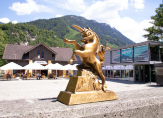 ALPINALE auf Tour / various locations, Vorarlberg & Wien