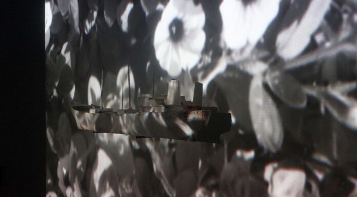 Jacqueline Mesmaeker. Secret Outlines / Museum der Moderne Salzburg, Mönchsberg, Salzburg