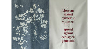 Anca Bucur | Herbarium – A Red Ecology / MQ Pop-Up Schauraum, Wien