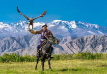 anderswo Festival 2025 / Orpheum Graz