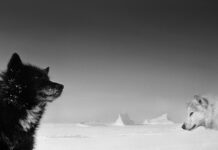 Ragnar Axelsson – „Arctic Heroes“ / Leica Galerie, Salzburg