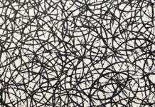 New members / Künstlerhaus Palais Thurn und Taxis Bregenz