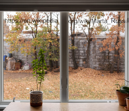 Park McArthur – Contact M / mumok, Wien