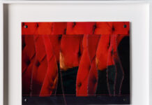 Maria Hahnenkamp / Belvedere 21, Wien