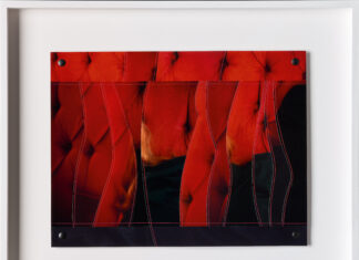 Maria Hahnenkamp / Belvedere 21, Wien