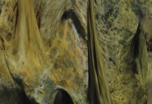 Lisa Wieder: fractional landscapes – Topografien von imaginierten Orten / Oberösterreichischer Kunstverein, Linz