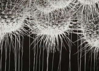 ALEXANDRA BAUMGARTNER | Their Ghosts / Bildraum 01, Wien