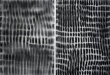 Gerlinde Thuma & Klaus Wanker / L.art VIENNA, Vienna