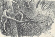 Anton Thiel – Death and Transfiguration / Stadtgalerie Museumspavillon, Salzburg