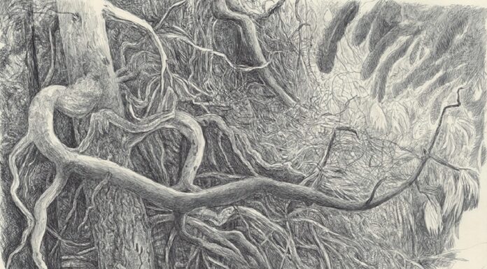 Anton Thiel – Tod und Verklärung / Stadtgalerie Museumspavillon, Salzburg