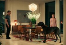 Diagonale goes Marseille / Österreichisches Kulturforum Paris