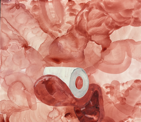 PASSION – Die Sammlung Simacek / Künstlerhaus Wien