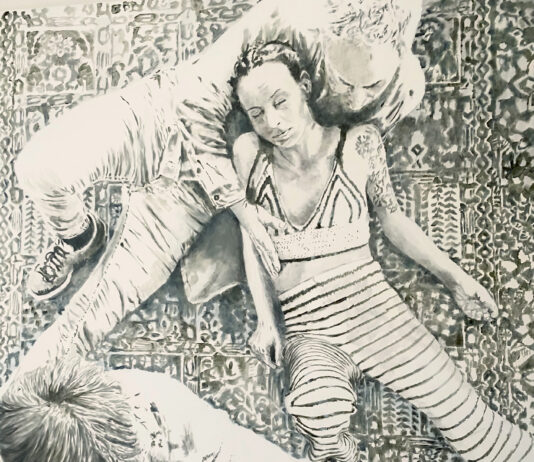 Peter Brauneis – Knietief in Schwanenkaki / eborangalerie, Salzburg