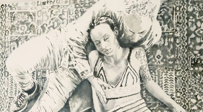 Peter Brauneis – Knietief in Schwanenkaki / eborangalerie, Salzburg