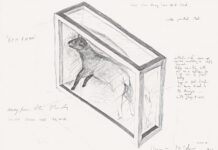 Damien Hirst – Drawings / Albertina Modern, Vienna