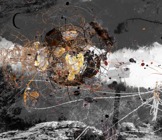 20 Jahre Best Austrian Animation Festival / Oberösterreichischer Kunstverein, Linz