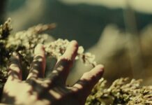 ethnocineca – International Documentary Film Festival Vienna 2025 / various locations, Wien