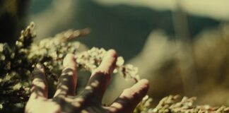 ethnocineca – International Documentary Film Festival Vienna 2025 / various locations, Wien