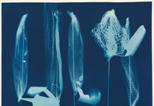 Kurt Dornig – Sommer / Galerie.Z, Hard, Vorarlberg