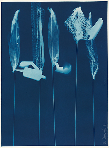 © Kurt Dornig