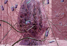 Dagmar Schürrer at ISEA 2025 in Seoul / Austrian Embassy Seoul