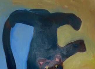 Stefan Glas – beautiful and otherworldly / Stadtgalerie Lehen, Salzburg