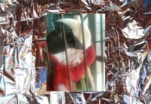 Still Processing – KÝVAT PAJDAT / Schaumbad – Freies Atelierhaus Graz