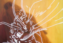 Closer – Luc Palmer & Alexander Föllenz / AG18 Gallery, Vienna