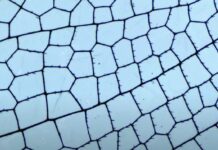 ENAR DE DIOS RODRÍGUEZ – ABOVE ALL / Bildraum 07, Vienna