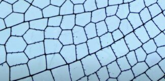 ENAR DE DIOS RODRÍGUEZ – ABOVE ALL / Bildraum 07, Wien