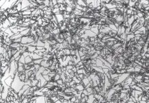 Iron Curtains, Economy of Attention and Metamorphosis / AG18 Gallery, Wien