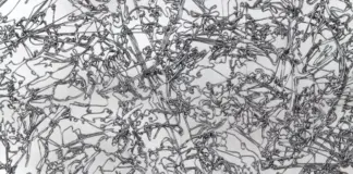 Iron Curtains, Economy of Attention and Metamorphosis / AG18 Gallery, Wien