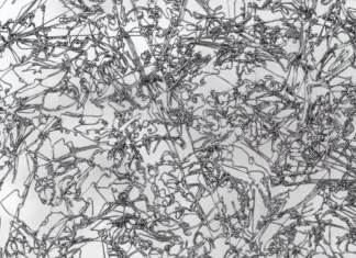 Iron Curtains, Economy of Attention and Metamorphosis / AG18 Gallery, Wien