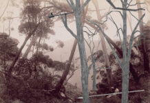 CORINNA ANTELMANN.SUSI JIRKUFF – From Dusk Till Dawn / Kubin-Haus Zwickledt, Oberösterreich