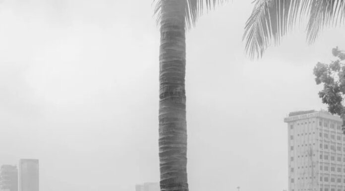 Sarker Protick / FOTOHOF, Salzburg