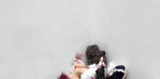 We did not forget about the rabbit / AG18 Gallery, Wien