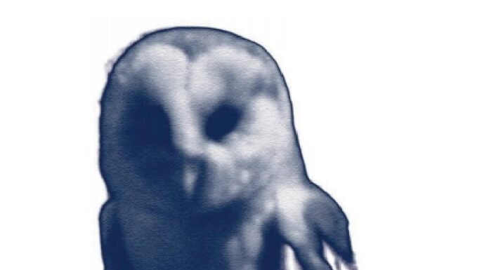 Bele Marx & Gilles Mussard – Vögel / Stadtgalerie Museumspavillon, Salzburg