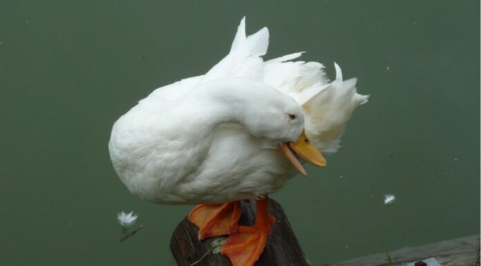 June Makino-Flatscher – Himmel auf der Erde / Galerie artforum, Salzburg