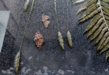 Landschaft – Terrain Floating / Galerie Zwergelgarten, Salzburg
