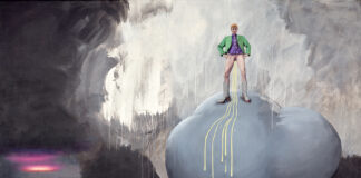 ASHLEY HANS SCHEIRL / Belvedere 21, Wien