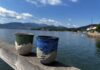 37th Austrian Pottery Market 2025 / Gmunden, Upper Austria