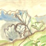 © Barbara Schimpfle