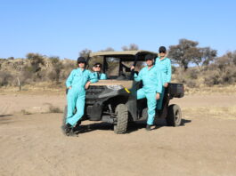 GLASHAUSFANTASIE – Freundinnenderkunst / Francisco Carolinum Linz