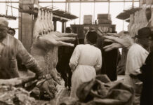 Meat / Wien Museum, Vienna