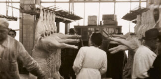 Fleisch / Wien Museum