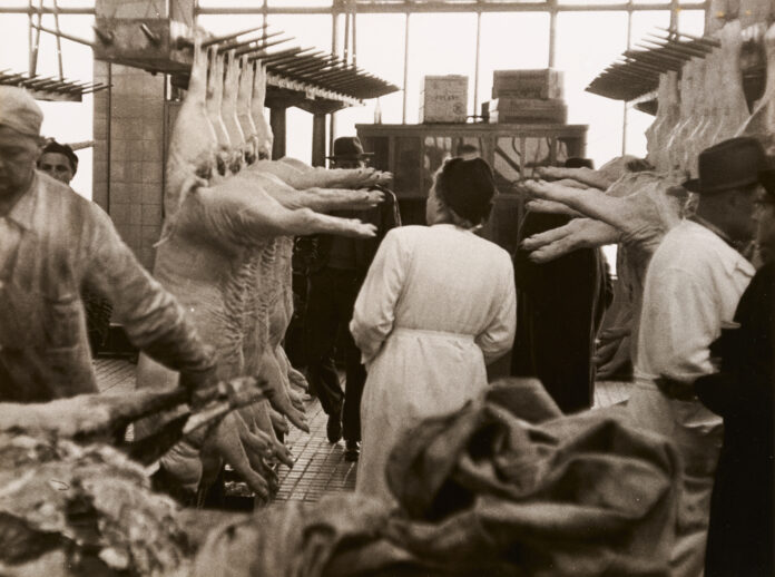 Heinrich Steinfest, In the slaughterhouse, 1956 © Heinrich Steinfest, Photo: TimTom, Wien Museum