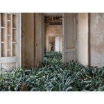 Science/Fiction – A Non-History of Plants / FOTO ARSENAL WIEN, Vienna