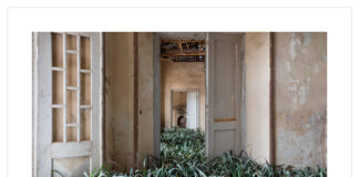 Science/Fiction – A Non-History of Plants / FOTO ARSENAL WIEN