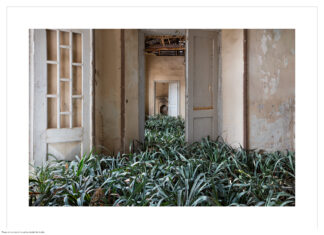 Science/Fiction – A Non-History of Plants / FOTO ARSENAL WIEN
