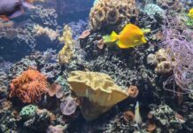 Kinderkulturwoche 2025 / various locations, Linz